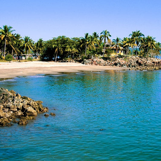 Torneo de pesca de orilla Nayarit 2019