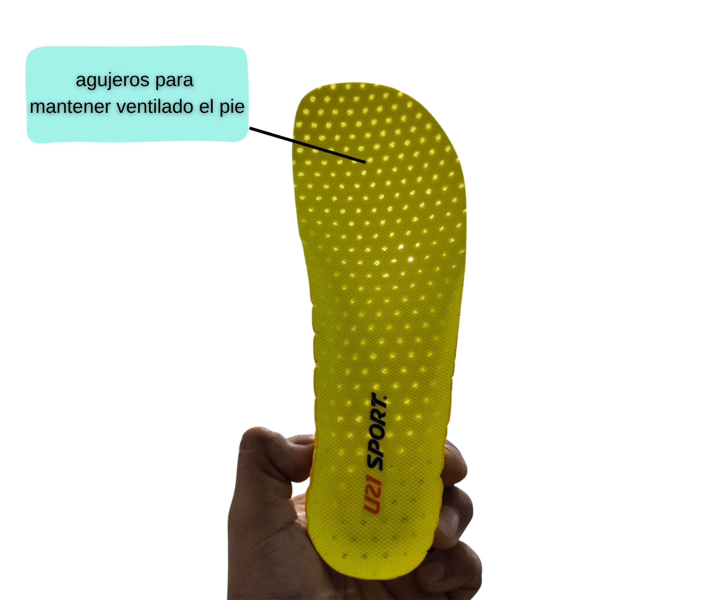 plantilla antihongos para calzado