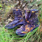 Bota alta para senderismo de montaña - Camuflaje -